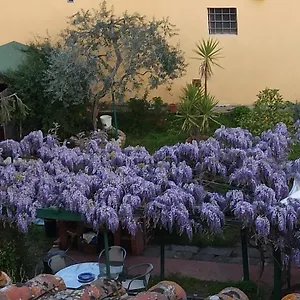 La Tinaia , Firenze Italia