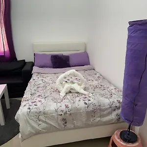 The Purple Place , Abu Dhabi Emirati Arabi Uniti